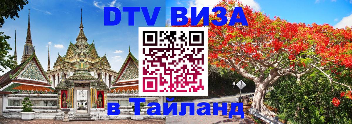 Сколько стоит DTV виза — актуальные цены, оформление даже без документов - Новошахтинск 